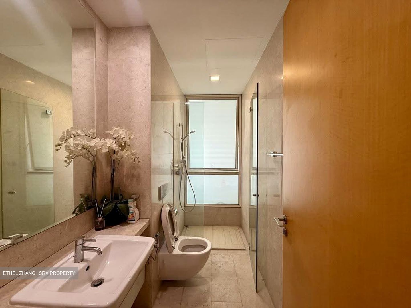 Scotts Highpark (D9), Condominium #628334871